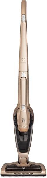 Aspirador Ergorápido Electrolux ERG26 Dourado